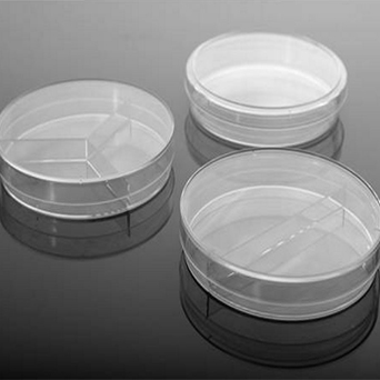 Petri Dishes